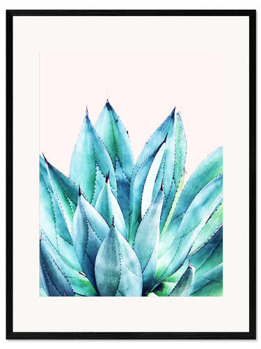 Inramat konsttryck Agave watercolor