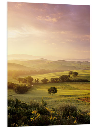 Foam board print Sunrise at Val d'Orcia