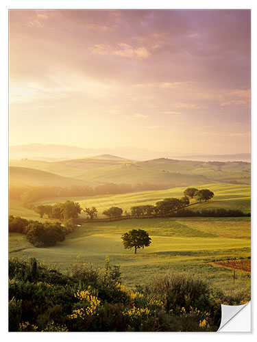 Wall sticker Sunrise at Val d'Orcia