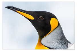 Selvklæbende plakat King Penguin