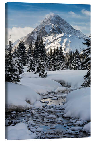 Lienzo Creek with snowy winding banks