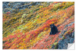 Wall sticker American black bear