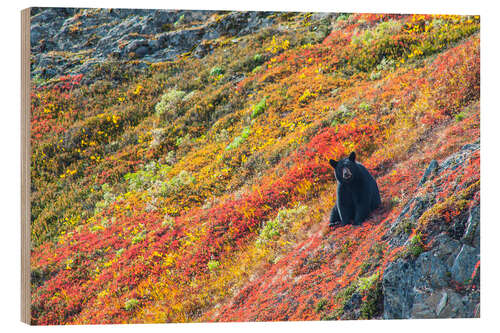 Holzbild Amerikanischer Schwarzbär