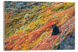 Tableau en bois Ours noir américain