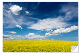 Wall sticker Flowering canola field