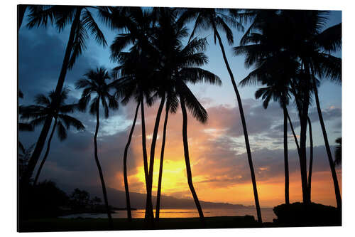 Aluminium print Sunset in Maui