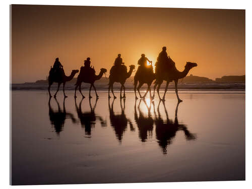 Akrylbilde Camel walk on the beach