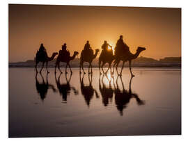 Foam board print Camel walk on the beach