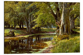 Magnettafel Sommertag am Waldbach