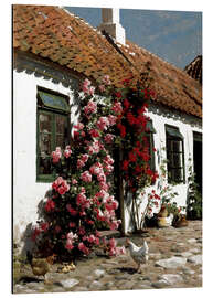 Quadro em alumínio Climbing Roses at the Farm