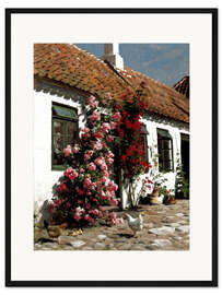 Gerahmter Kunstdruck Kletterrosen am Bauernhof