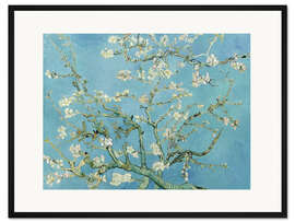 Gerahmter Kunstdruck Mandelblüte