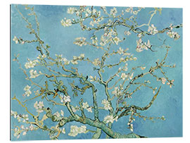 Stampa su plexi-alluminio  Ramo di mandorlo fiorito - Vincent van Gogh
