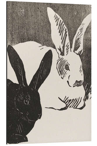 Quadro em alumínio Rabbits 