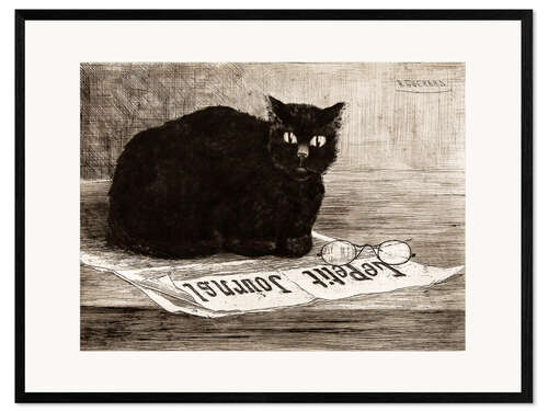 Inramat konsttryck chat noir sur un journal
