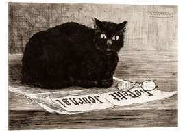 Stampa su plexi-alluminio chat noir sur un journal