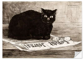 Selvklebende plakat chat noir sur un journal