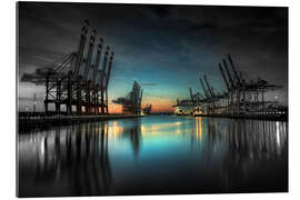 Quadro em plexi-alumínio Hamburg - harbor cranes