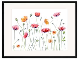 Gerahmter Kunstdruck Mohn-Party