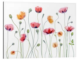 Magnettafel Mohn-Party