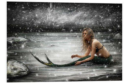 Foam board print Winter Mermaid