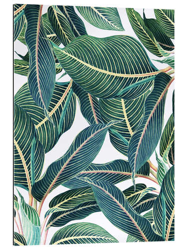 Gallery Print Botanical Leaves