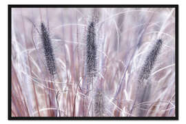 Gerahmter Kunstdruck Lampenputzergras