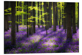 Magnettafel Im Feenwald