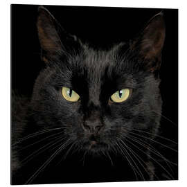 Magnettafel Schau mir in die Augen