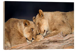 Holzbild African lions