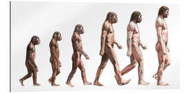 Gallery print human evolution