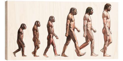 Wood print human evolution