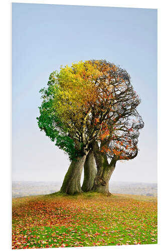 Stampa su PVC L'albero della vita