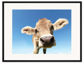 Gerahmter Kunstdruck Neugierige Kuh