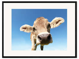 Framed art print curious cow