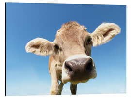 Magnettafel Neugierige Kuh