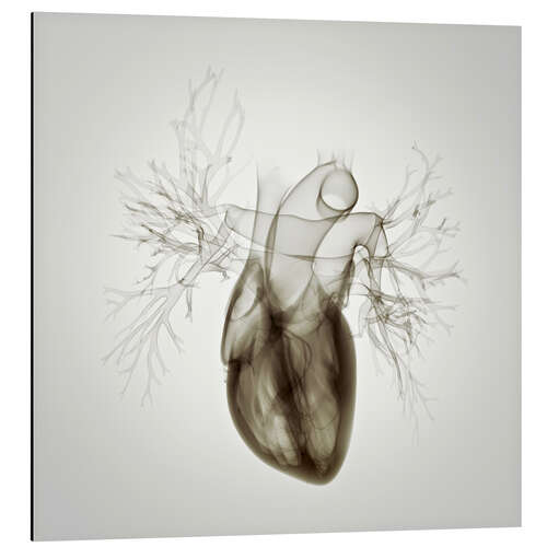 Cuadro de aluminio Heart, illustration