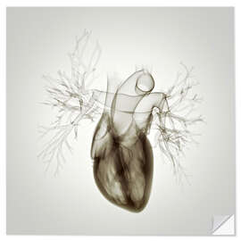 Selvklebende plakat Heart, illustration