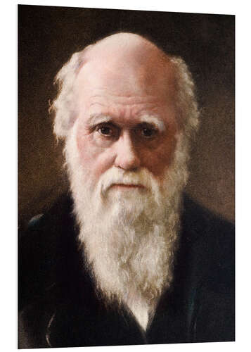 Tableau en PVC Charles Darwin, 1881