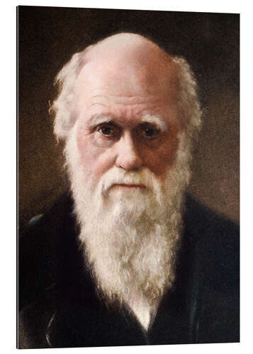 Galleritryk Charles Darwin, 1881