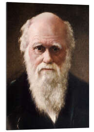 Gallery print Charles Darwin, 1881