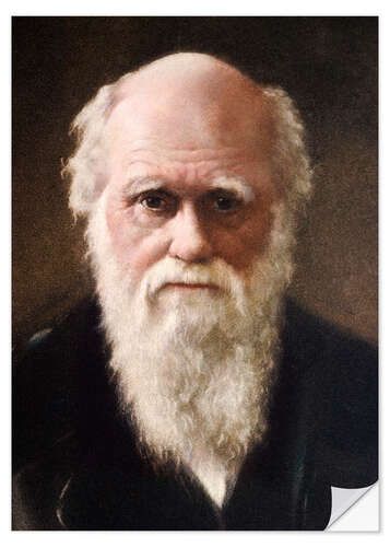 Självhäftande poster Charles Darwin, 1881