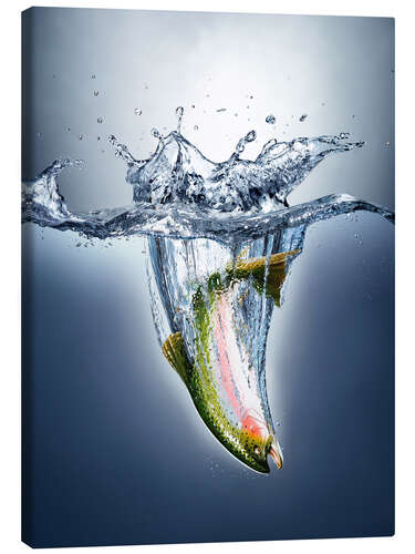 Canvas print Salmon splashing into water