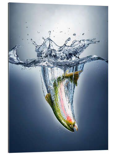 Gallery print Salmon splashing into water