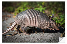 Wall sticker Armadillo crosses the street