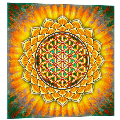 Obraz na aluminium Flower of life - yellow lotus