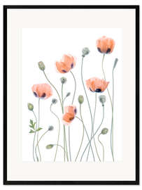 Gerahmter Kunstdruck Poppy Poesie