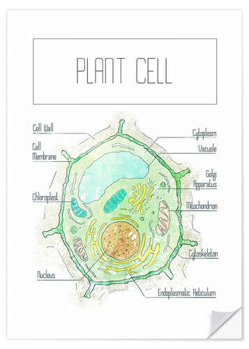 Selvklæbende plakat Plant Cell