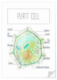 Wall sticker Plant Cell