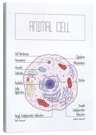 Stampa su tela Animal Cell